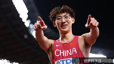 梅西率阿根廷逆转胜法国，完美复仇夺得世界杯冠军